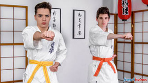 Karate Twinks